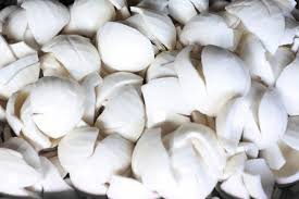 Frozen Coconut Meat